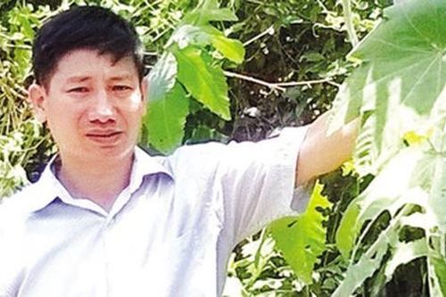 Kỳ lạ thủ thuật đội lá thầu dầu giúp bệnh nhân thoát nỗi ám ảnh bệnh trĩ sau 12 ngày