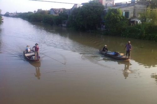 Đánh bắt thủy hải sản bằng xung điện vẫn tái diễn nhiều nơi