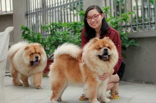 9X tài năng kiếm tiền khủng nhờ nuôi thú cưng