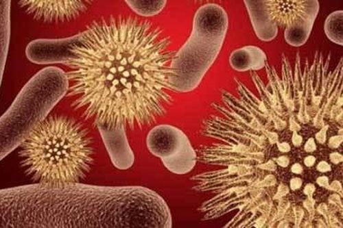 10 loại virus nguy hiểm nhất hành tinh