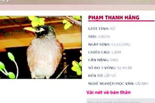 Vietnam's next top model: Những hình ảnh xấu xí và cẩu thả