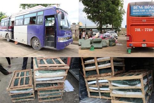 Chặn xe khách chở chim le le, quần áo không rõ nguồn gốc
