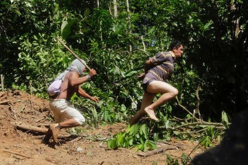 Thổ dân rừng rậm Amazon đuổi đánh lâm tặc