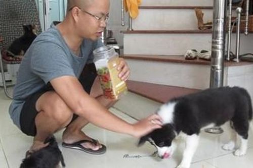 Chàng trai mê thú cưng 'độc'