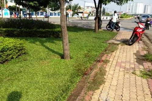 Phát hiện xác người đàn ông trước cổng KCN