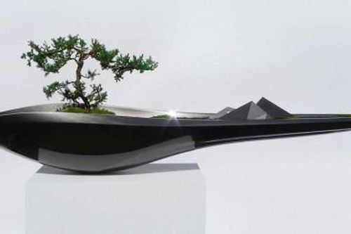 Kasokudu - sự kết hợp giữa nghệ thuật cây cảnh và công nghệ ô tô