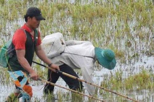 Những kiểu khai thác tận diệt nguồn lợi thủy sản