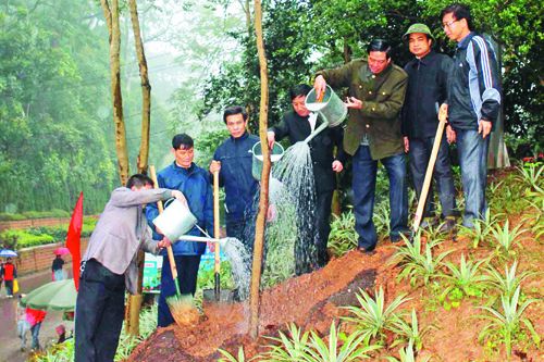 Xanh mãi rừng quốc gia Đền Hùng