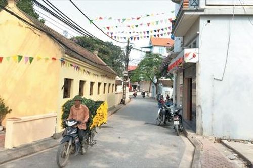 Tây Tựu phát triển nghề trồng hoa bằng công nghệ cao