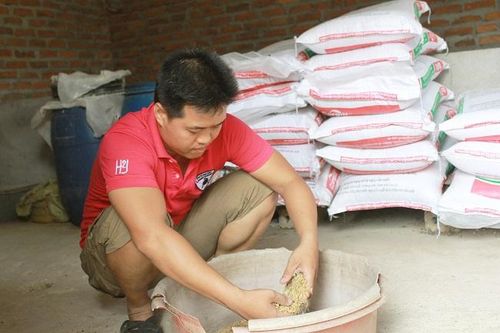8X treo bằng đại học, lên núi làm trang trại thu 7 tỷ
