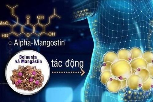 Giảm cân cấp tốc: Coi chừng tử vong!