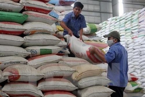 Chính phủ tiếp tục hỗ trợ gạo cứu đói cho người dân tỉnh Cao Bằng