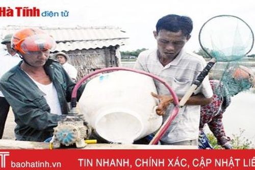 Phòng chống dịch bệnh trên tôm nuôi: Chưa quyết liệt!