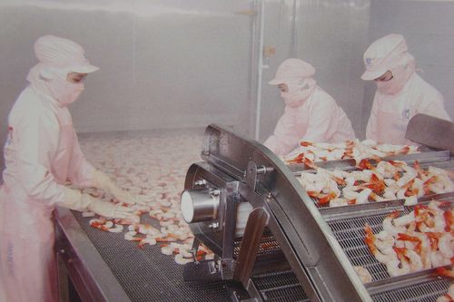 An toàn cho công nhân ngành chế biến thực phẩm