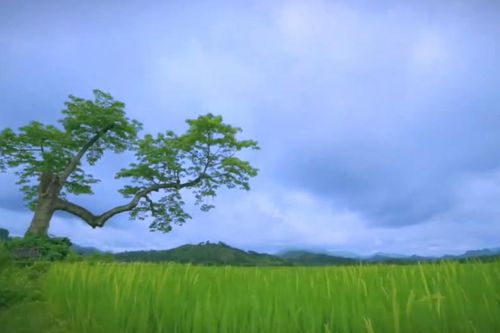 Việt Nam tuyệt đẹp trên kênh truyền hình nước Anh