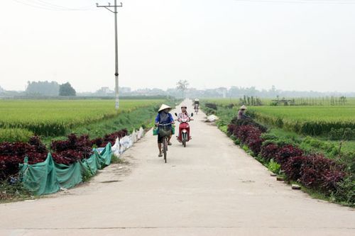 Vĩnh Phúc: Gần 200 tỷ đồng cho hoàn thiện hệ thống giao thông nông thôn