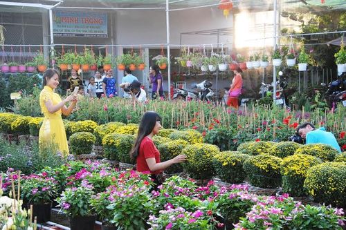 Rộn ràng Lễ hội hoa xuân thành phố Sa Đéc