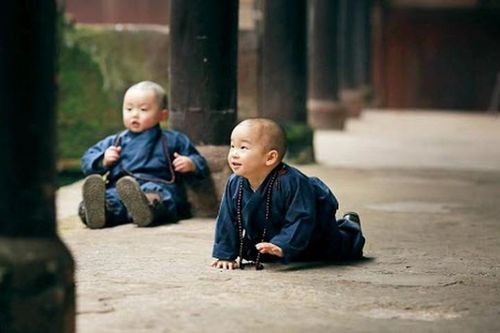 Cặp 'sư tiểu' làm tan chảy trái tim hàng triệu dân mạng