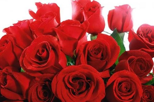 10 điều thú vị về 'Ngày lễ tình nhân' Valentine