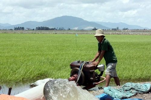 Đồng bằng sông Cửu Long cần tranh thủ lấy nước ngọt từ nay đến 7/3