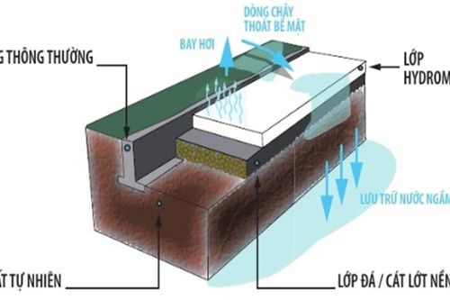 Bê tông thoát nước - giải pháp bền vững cho đô thị