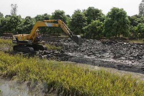'Vương quốc' cây ăn trái ở miền Tây đối mặt với mặn xâm nhập