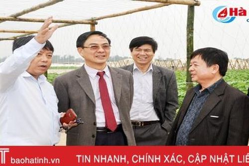 Hợp tác triển khai thành công chuỗi liên kết sản xuất