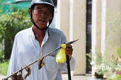 'Thợ săn' tiết lộ công nghệ vô nhân tính bắt 200 chim sẻ mỗi ngày bằng ĐTDĐ