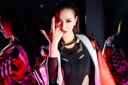Bản remix ca khúc của Maya bị DJ nước ngoài tố đạo nhạc