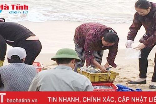 Kết quả kiểm nghiệm các mẫu hải sản tại Hà Tĩnh ngày 2/5