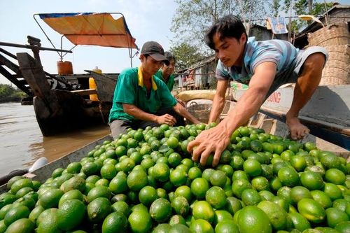 Trái cây miền Tây sốt giá vì nắng nóng
