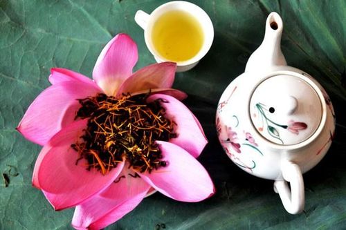 Tao nhã thú trà sen bên hồ trong sương sớm