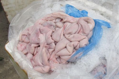 Cảnh sát phát hiện 1 tấn lòng lợn hôi thối