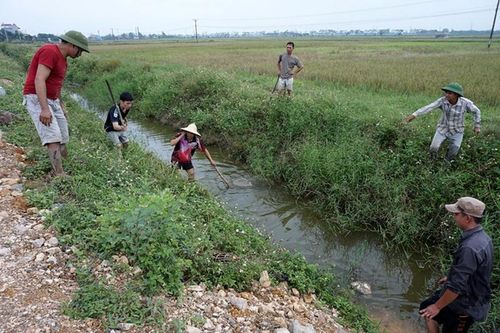 Trai tráng Thủ đô săn chuột đồng làm mồi nhậu