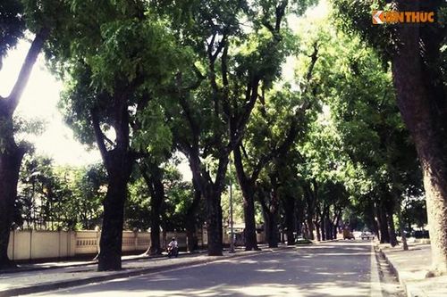 Chùm ảnh: Thiên đường và địa ngục ở Hà Nội nắng nóng 40 độ