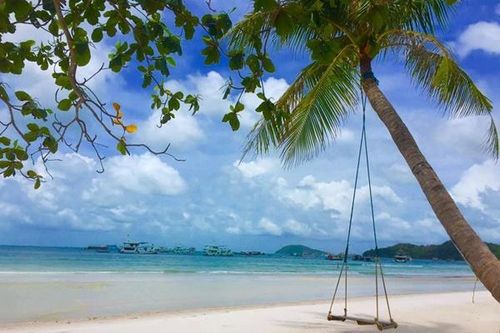 Mục sở thị địa danh 'cây dừa đổ' nổi tiếng đẹp như phim ở bãi Sao, Phú Quốc