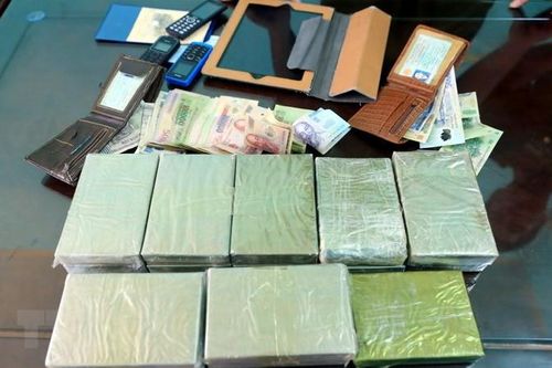 Nam Định: Triệt phá đường dây ma túy dưới vỏ bọc buôn bán gỗ