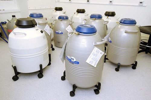 Bé gái 2 tuổi được đông lạnh trứng chờ sinh con