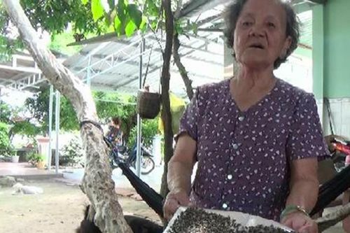 Người dân xã Đông Thạnh bị 'hành' bởi bãi phơi phân bò