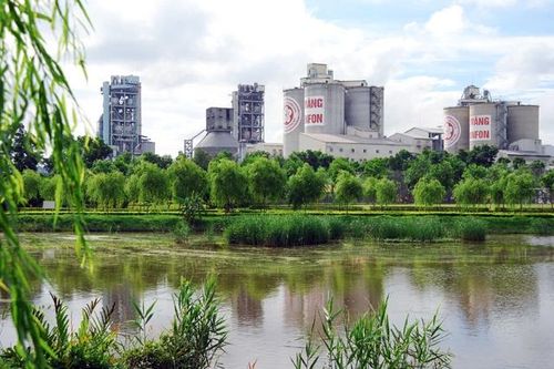 Bài học đầu tư xi măng: Nhìn từ các DN phải tái cấu trúc