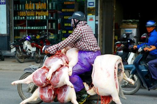 Tình trạng mất an toàn vệ sinh thực phẩm đã tới mức báo động