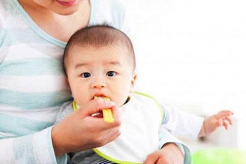 Trẻ 6 tháng ăn tôm được chưa?