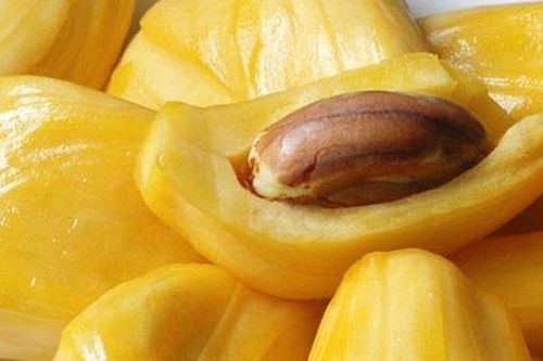 Cách đơn giản nhận biết mít chín cây không ngậm hóa chất