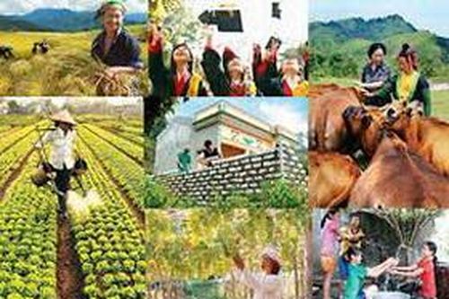 Hỗ trợ phát triển sản xuất để giảm nghèo bền vững