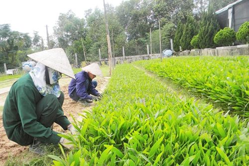 Thủ tục thanh, quyết toán tiền dịch vụ môi trường rừng