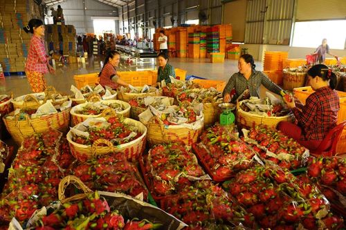 Xây dựng thương hiệu quốc gia cho sản phẩm địa phương: Giải pháp nào?