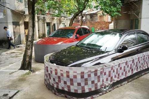 Cách chống chuột độc đáo của tài xế khiến ai cũng phải bật cười