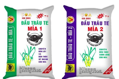 Bón phân Đầu Trâu tăng năng suất mía