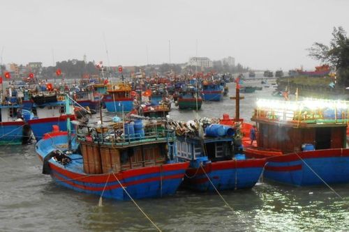 Quảng Bình: Hơn 3.000 tàu cá và 12.000 ngư dân vào bờ neo đậu tránh bão số 4