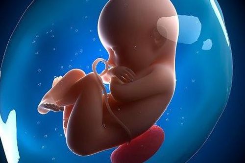 Những em bé chào đời trong túi nước ối còn nguyên sẽ có số may mắn cả đời?